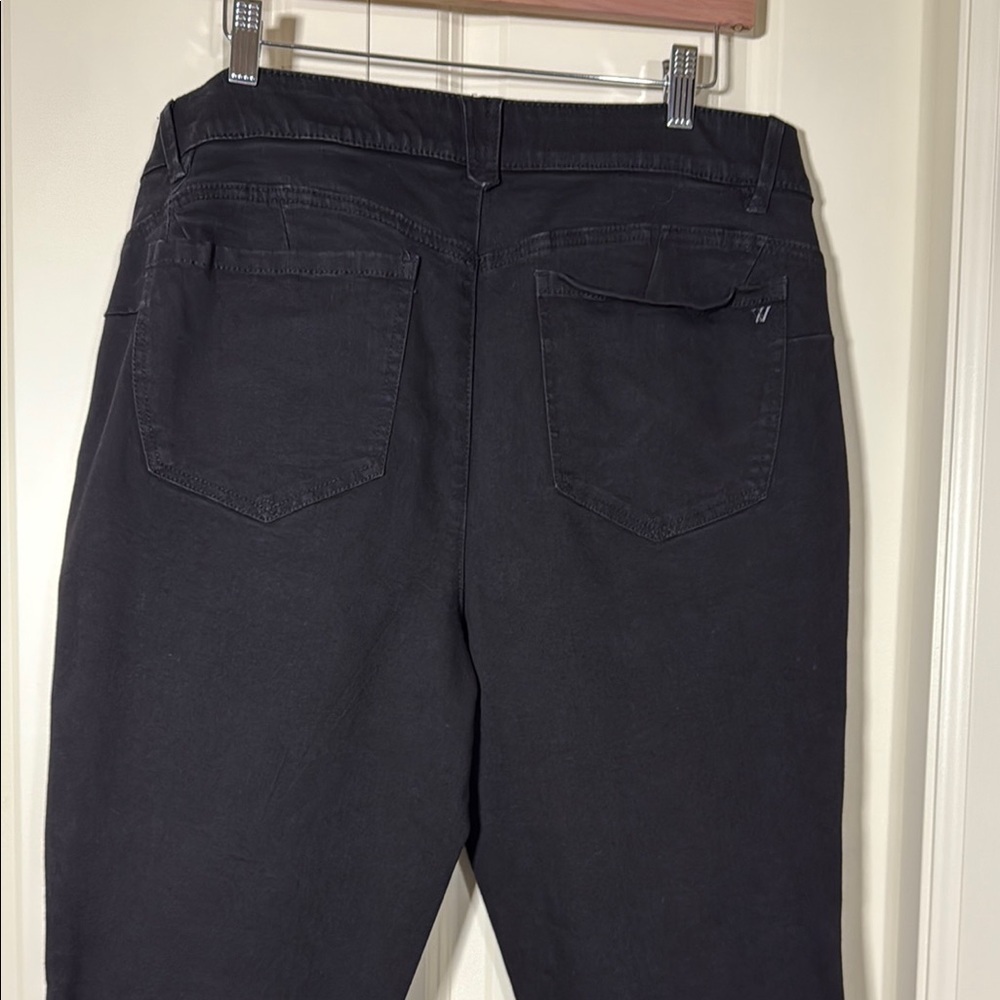 Wit & Wisdom Black w/Sparkle Tuxedo Stripe Ankle Cropped Jeans - Picture 7 of 16